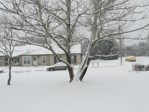 Winter In NJ