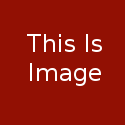 This Is Image