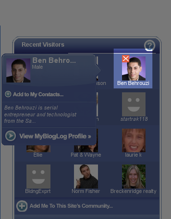 My BlogLog Widget Snapshot